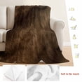 thumbnail image 5 of Brown Wood Blanket Soft Cozy Warm Twin Blanket for Bed, Plush Fuzzy Flannel Fleece Blankets for Sofa, Vintage Farmhouse Wooden Planks Throw Blankets for Couch, Lightweight Gifts for Women, 60"x80", 5 of 9