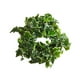 thumbnail image 5 of Corona de primavera, hojas artificiales, corona de pared, corona decorativa de hojas verdes para 35cm, 5 of 9