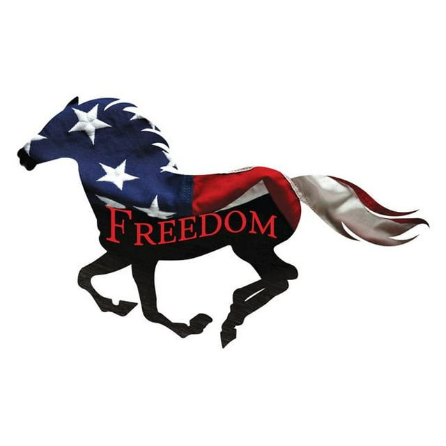 Next Innovations Freedom 101410020- 24 x 15 Po Freedom Course Cheval Wall Art
