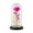 Hot Pink, variant on Fridja Valentine's Day Gift for Women Purple Rose Birthday Gifts for Her Rose Enchanted Warm Light Led Flower Galaxy Rose Light in Glass Dome, Unique Gifts for Her Wedding , Anniversary