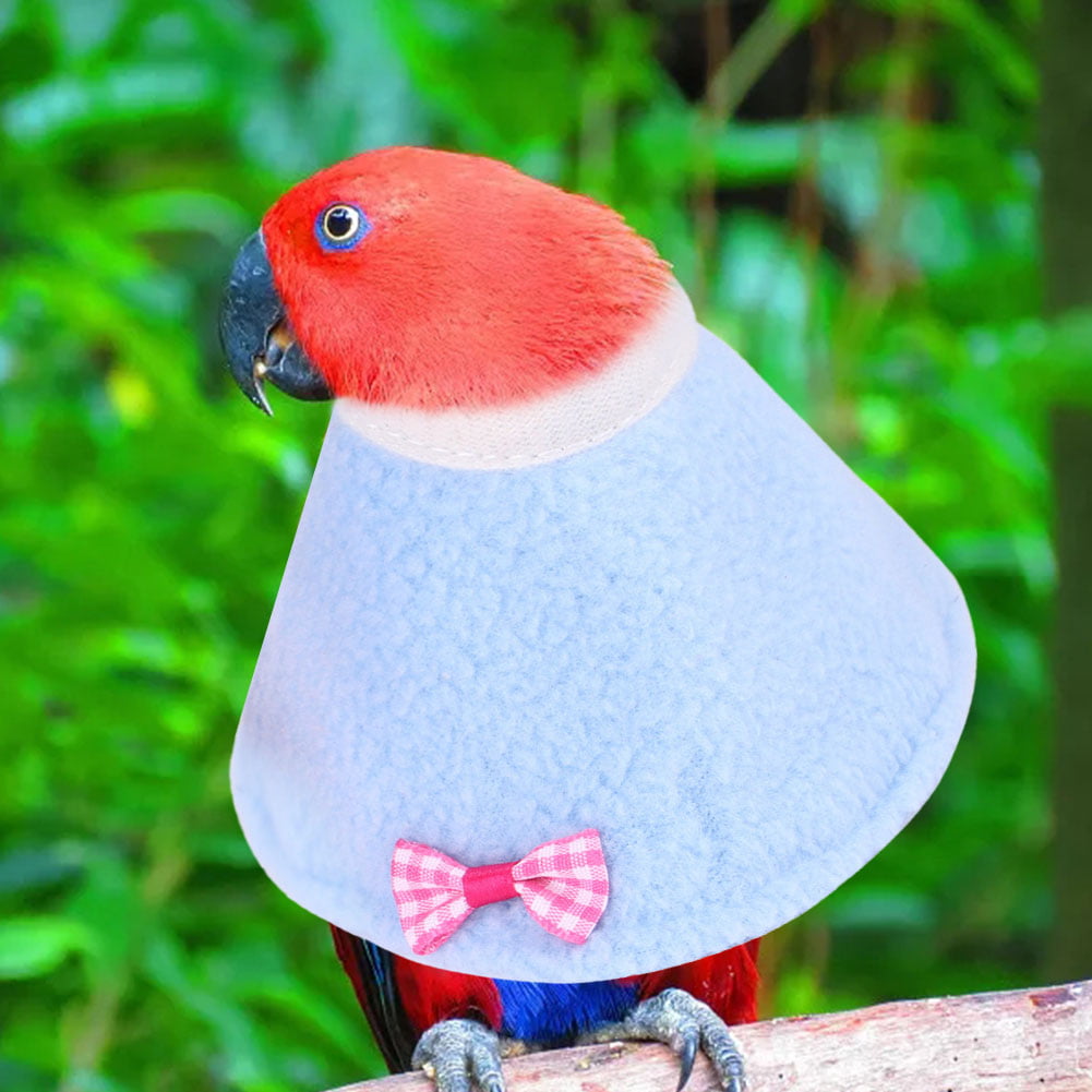Funsquare Elizabethan Bird Recovery Collar for Rodents Adjustable Neck Circumference,Elizabethan Bird Collar for Cockatoo,Love Bird,Quaker Parrot and More graceful designer here