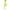 Yellow, variant on UIX Women's Tights Colourful 40 Opaque Microfibre