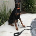 thumbnail image 6 of BadPiggies 5 FT Strong Dog Leash with Comfortable Padded Handle and Reflective Threads Dog Leashes for Medium Large Dogs, 6 of 10