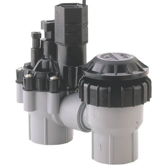 Rainbird 3/4" Dlx Anti-Siphon Sprinkler DAS/ASVF075