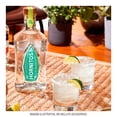 thumbnail image 2 of Tequila Hornitos Plata 700 ml, 2 of 2
