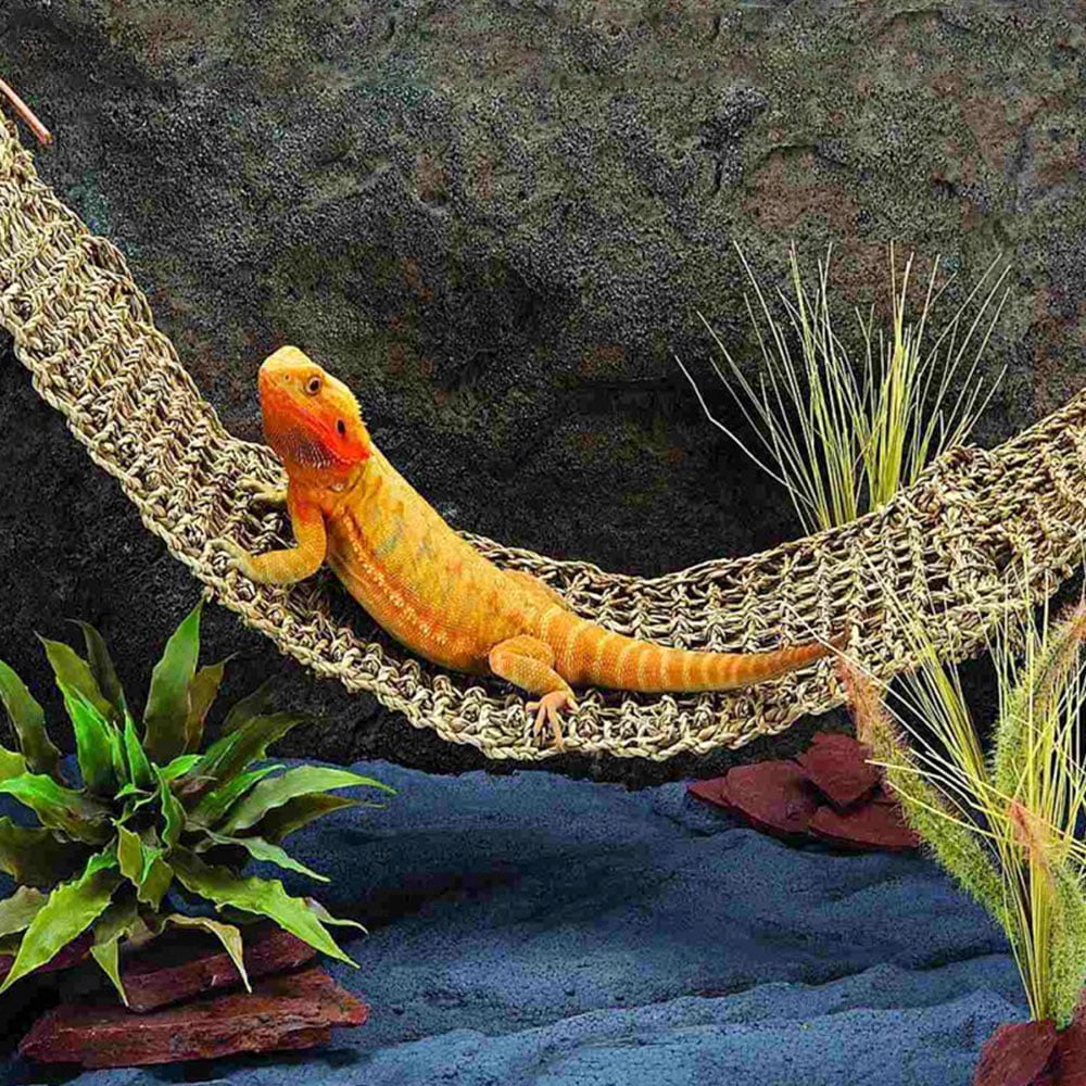 EX_ CO_ Bearded Dragon Lizard Lounger Large Reptile Toys Hammock Swing For Pet S 