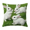 thumbnail image 1 of Pillows for Sofa Living Room Easter Rabbit Pillowcase 45x45cm, Short Lint Material for Bedroom Decor and Ambiance, 1 of 6