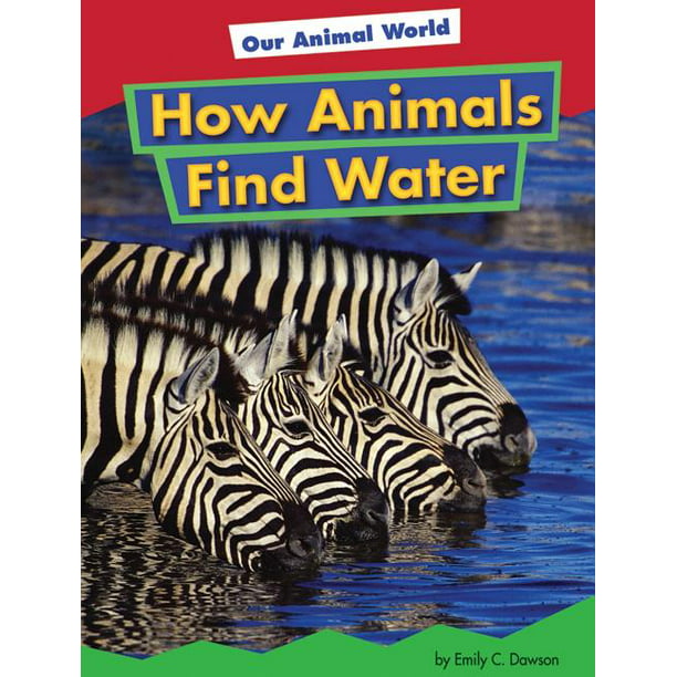 Amicus Readers. Our Animal World (Level 1): How Animals Find Water  (Hardcover) 