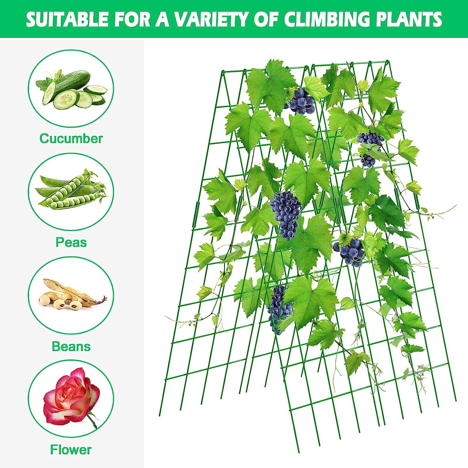 Cucumber Trellis, 59" High 2 Pack Foldable A Frame Trellis for Raised Bed Climbing Plants, Vegetables, Includes Plant Support Clips, Twist Ties, Plastic Ties- Made from PVC-Coated Steel