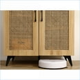 thumbnail image 3 of Shoe Cabinet Rattan Mesh Double-Door 29.5in | Large Storage | Melamine, Carbon Steel, 3 of 7