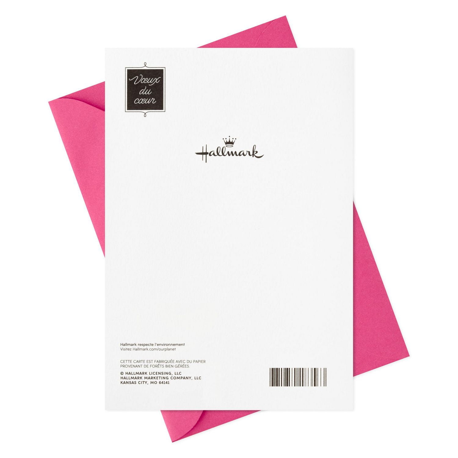 Carte de fête pour une petite-fille – Hallmark (Licorne, chat)