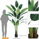 thumbnail image 4 of 2-pack 7ft (84 pulgada) artificial bird of paradise trees - realistic con 20 trunks y leaves, 4 of 7