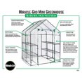 thumbnail image 4 of Miracle-Gro Mini Greenhouse 4' 8" x 4' 8" x 6' 5", 4 of 9