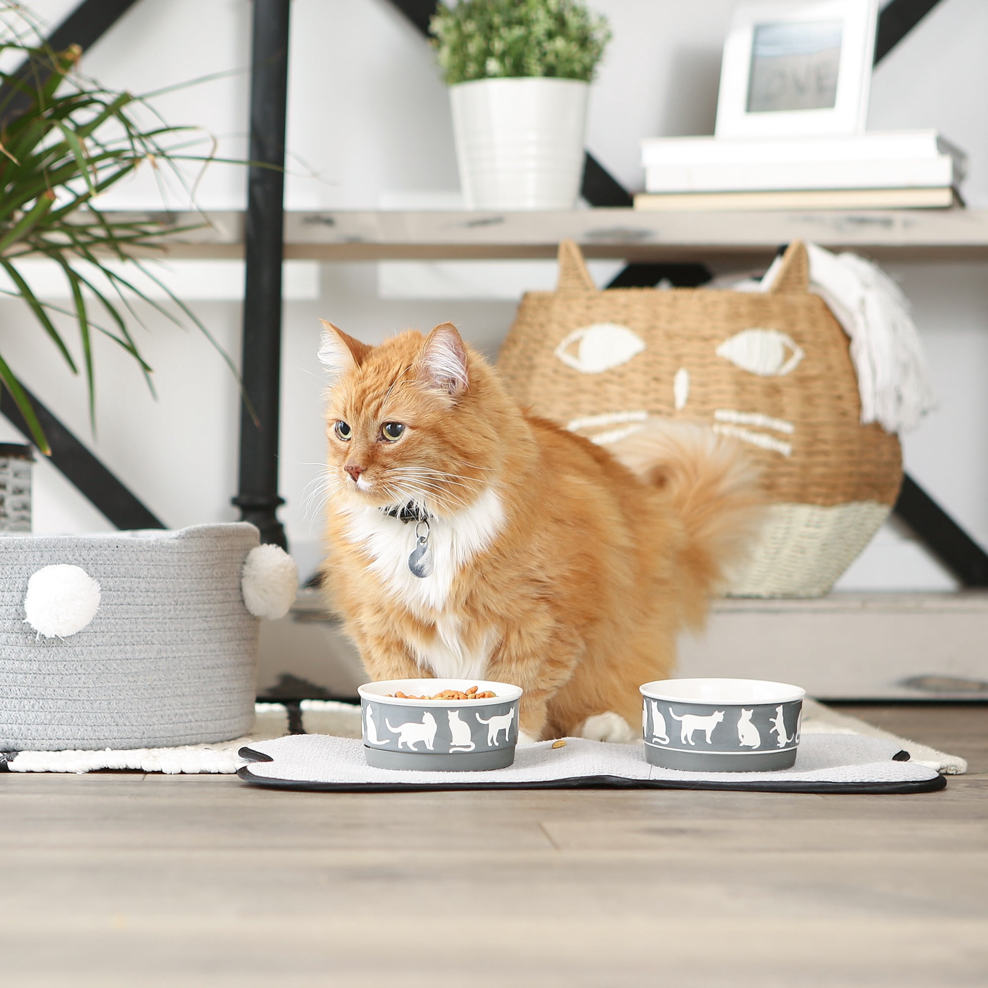 DII Pet Bowl Cats Meow Gray Small 4.25Dx2H (Set of 2)