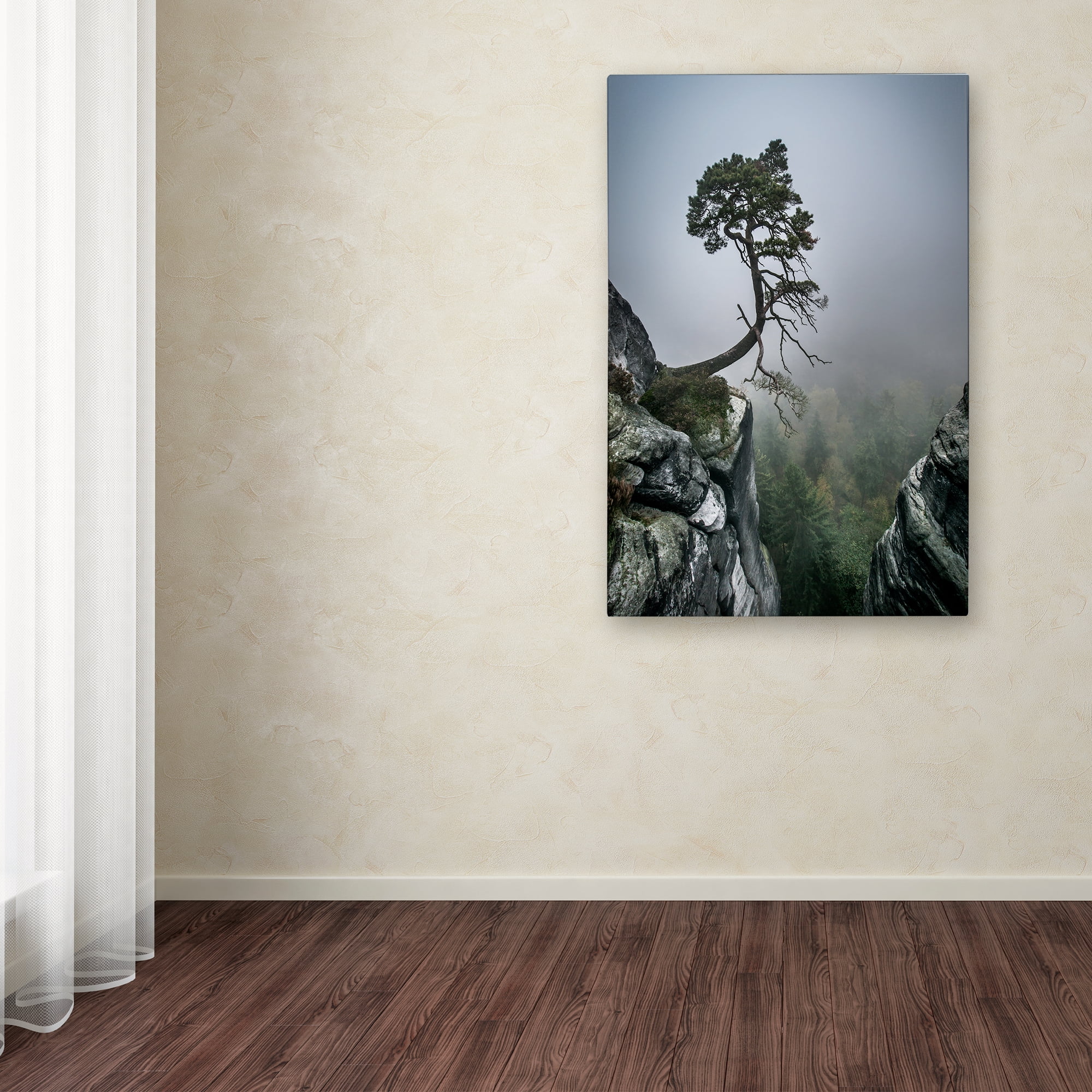 Trademark Fine Art 'Against The Odds' Canvas Art by Andreas Wonisch
