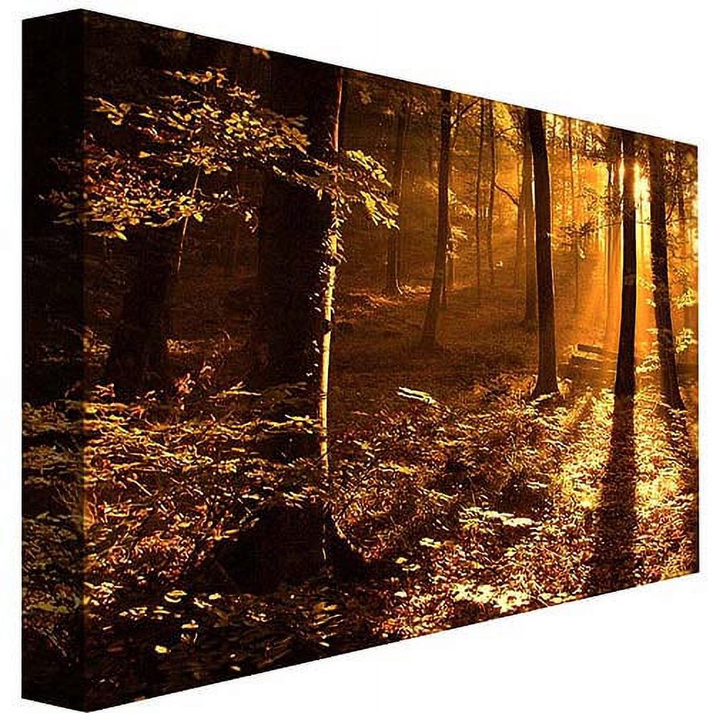Trademark Art "Morning Light" Canvas Art by Philippe Sainte-Laudy