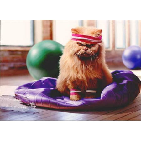 Fun Center Cat - Avanti Press Cranky Exercise Cat Funny Just for Fun Card