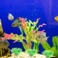 thumbnail image 4 of BESTYASH 16Ud Para Peces Con Falsas Coloridas Apariencia Natural, 4 of 6