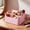 Pink, variant on Desktop Storage Organizer Pencil Card Holder Box,Remote Control Holder,Office Organizer for Pencils, Pens, Notes, and Desk Supplies