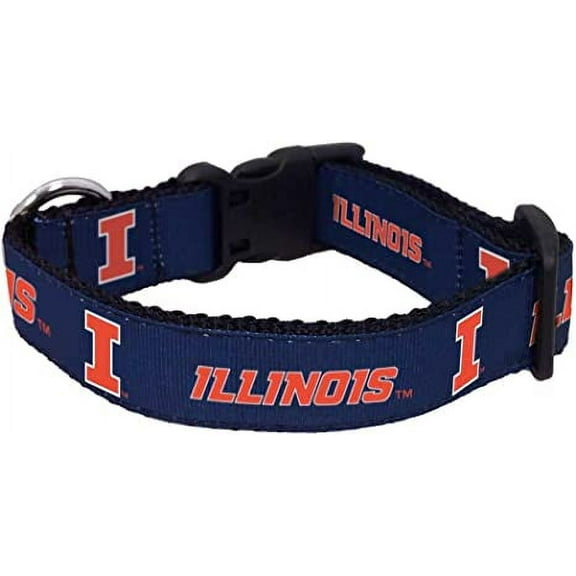 College Dog Collar (Medium, Illinois)