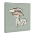 thumbnail image 4 of Stupell Industries Mushroom Bunch Drawing Plants & Flowers Painting Wrapped Canvas Art Print Wall Art, 17 x 17, 4 of 8