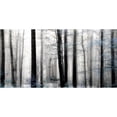 thumbnail image 3 of Weisz, Irene 14x9 Black Modern Framed Museum Art Print Titled - Waiting For Spring, 3 of 5