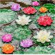 thumbnail image 3 of Loto Artificial Flotante de Espuma XCF con Nenúfares Decoraciones Realistas, 3 of 4