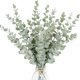 thumbnail image 1 of Plantas artificiales de eucalipto para decoración del hogar, plantas de eucalipto, hojas verdes, Lants falsos, bricolaje para Navidad, boda, coronas de jardín, 12/18/24 piezas, 1 of 4
