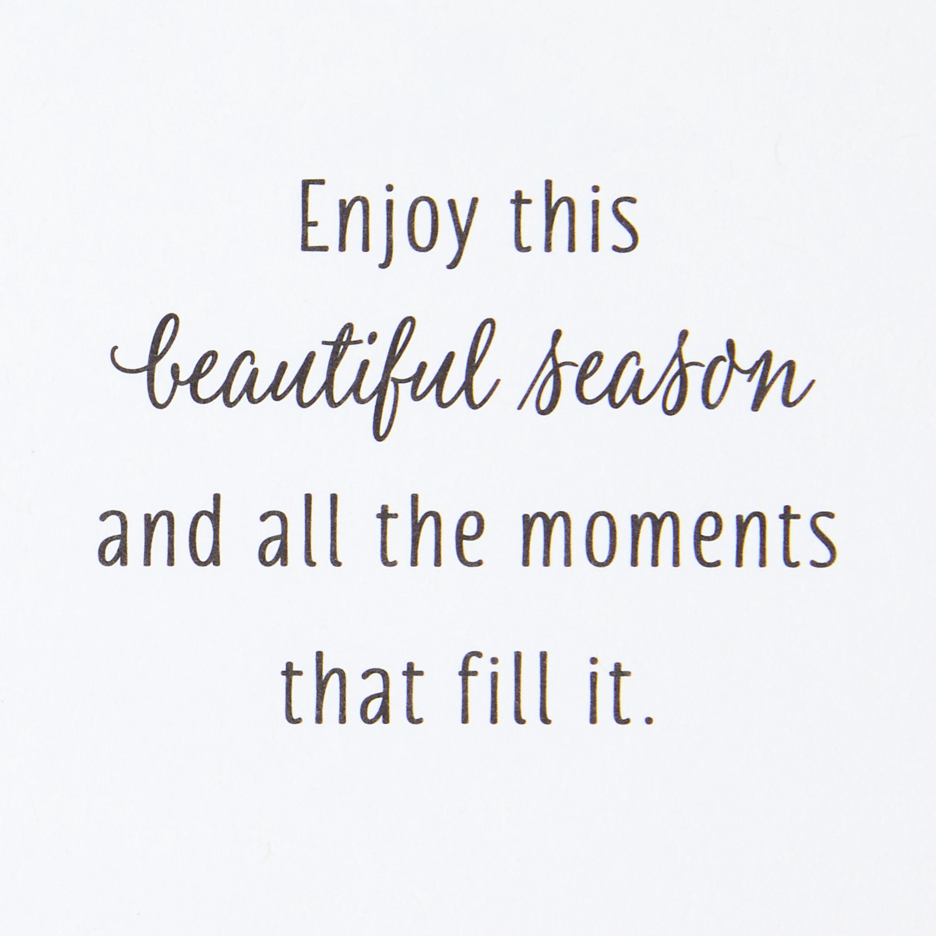 Hallmark Autumn Cards (Cozy Grapevine Wreath), 10 Count
