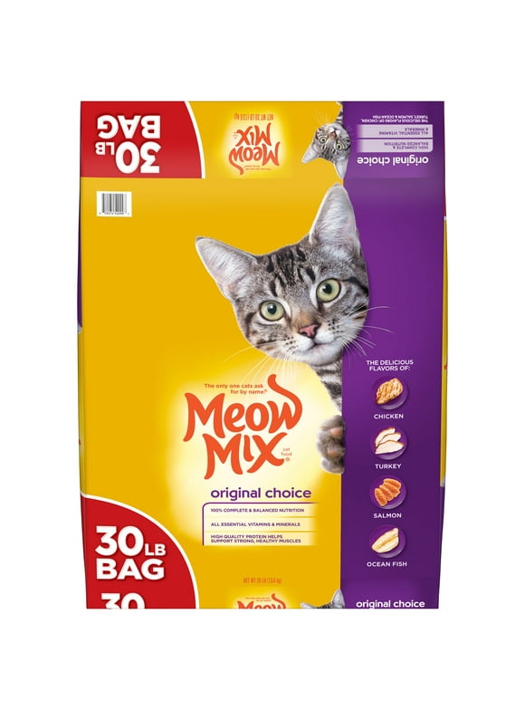 Dry Cat Food in Cat Food
