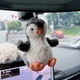 thumbnail image 1 of Large collection of plush toys, plush dolls, dolls, gifts, bags, and keychains 12CM, 1 of 1