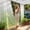 Green, variant on FeiFu Outdoor Waterproof Curtain,Gradient Green Sheer Panel for Patio Gazebo,Light Filtering Privacy Drapes for Porch Pergola,Weather Resistant Window Treatment Cortina Exterior