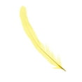 thumbnail image 4 of Unique Bargains 10-12 Inch Rooster Feathers, 50 Pack Bulk Natural Feathers for Crafts Style 1, Yellow, 4 of 6