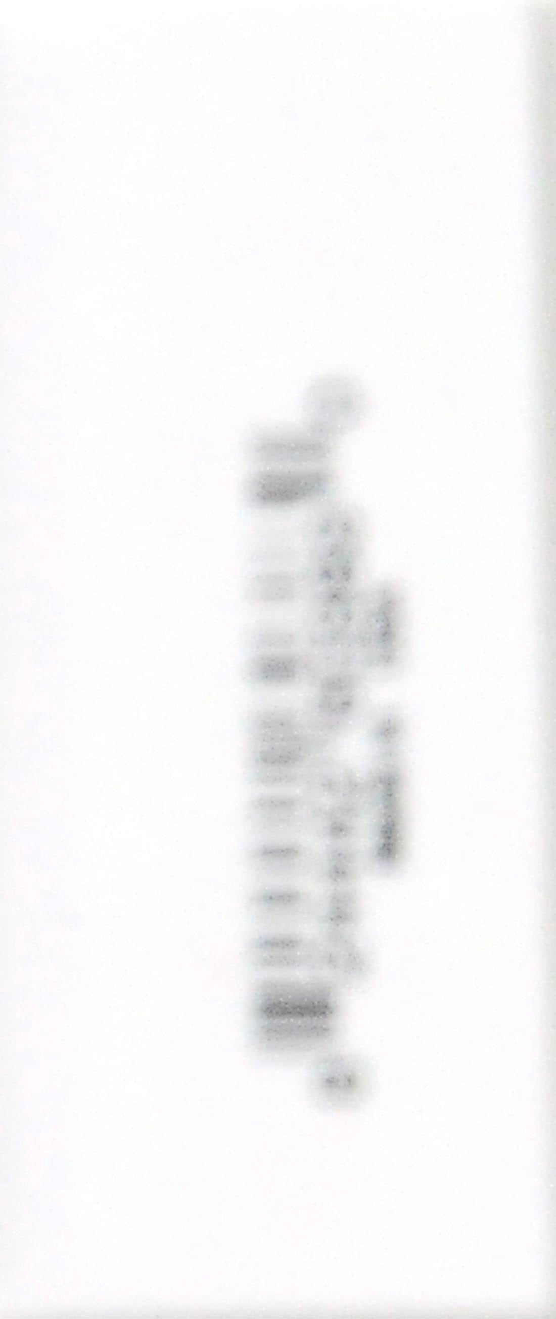 CooperVision -2.25 ULTRAFLEX II 55 UV ASPHERIC - 6 PK