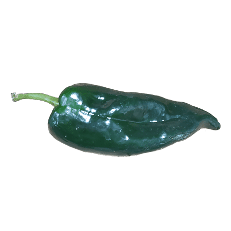 Fieldpack Unbranded Pasilla Pepper