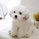 thumbnail image 3 of Animales de peluche Juguete de peluche Perro de peluche Adorable Perro de peluche Precioso juguete de peluche Regalo de cumpleaños para niños, 3 of 6