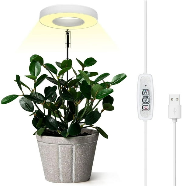 Lampe de culture d'intérieur Tongliya 1 abs, lumière de croissance LED à  spectre complet, lumière halo de plantes avec chargeur USB et minuterie  automatique, basse tension de sécurité 5V, idéale pour les