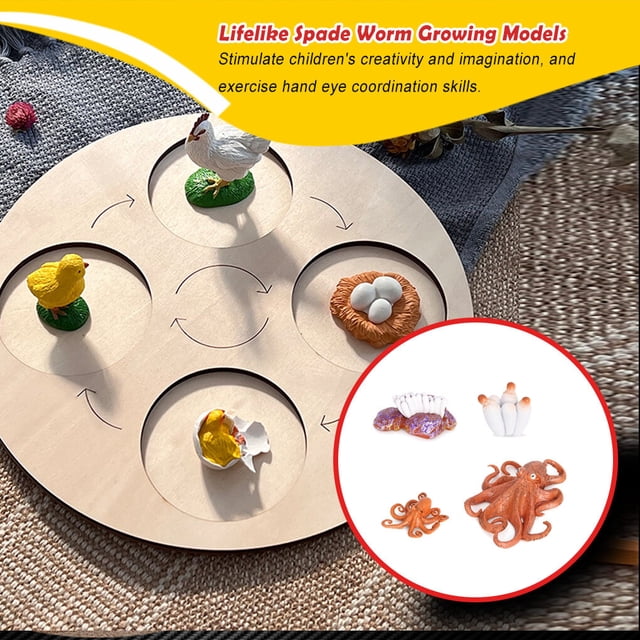 pitrice 1 Set Spade Worm Model Premium Plastic Material Meaningful Insect Figurines Early Educational Growing Models for School Project octopus type 2
