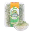 thumbnail image 2 of Germiando de Alfalfa San Francisco 200 GR, 2 of 4