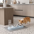 thumbnail image 4 of 3 in 1 Cat Bowl,Cat Food and Water Bowl Set with Water Dispenser and Stainless Steel Bowls,Double Bowls Design,15-degree Tilted Pet Feeder,Blue, 4 of 6