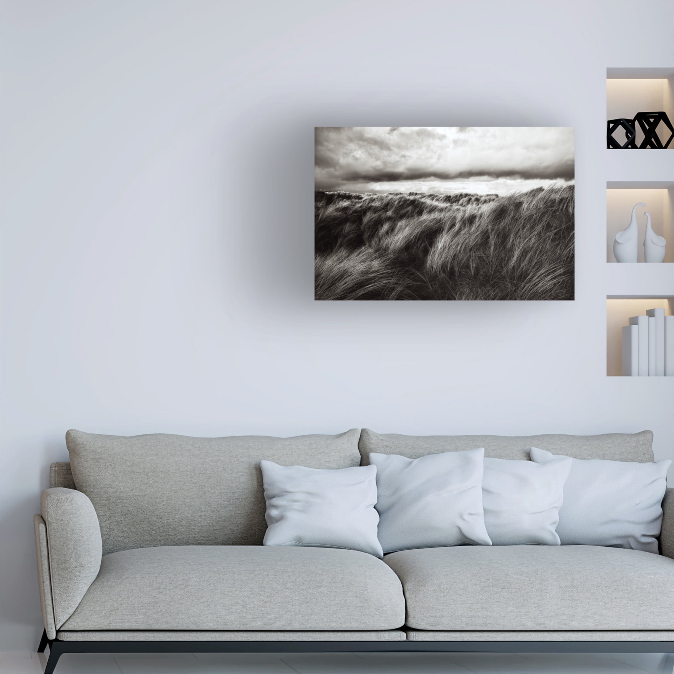 Canvas Wall Art - Paul  'Dunes Of Grass' Wall Art for Living Room, Bedroom, or Office Décor by Trademark Fine Art - 24 x 16 Inches