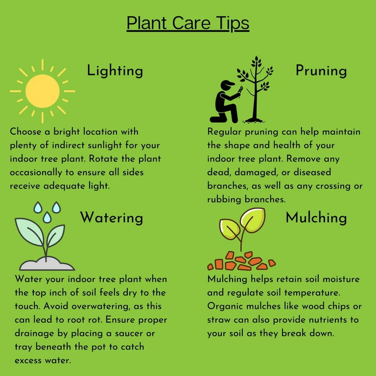 Organic Fruit Tree Care: Essential Tips for Healthy Growth
