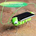 thumbnail image 1 of Solar Grasshopper Toy Puzzle Children Selected Gift Simulation Insect Gift Boys And Girls Science Education Funny Moving Toy Kid, 1 of 7