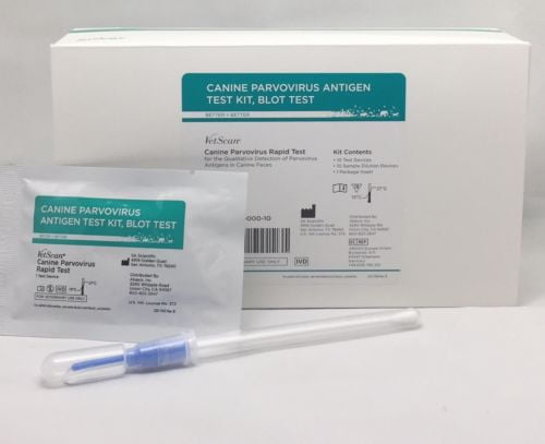 is there a test for parvo