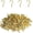 Bronze, variant on 80 Pcs Small Screw Hooks, 1/2 Inch Mini Screw in Jewelry Hooks Tiny Metal Screw Wood Ceiling Wall Hooks for Jewelries Crafts Keys Caps Plants String Lights Wreaths