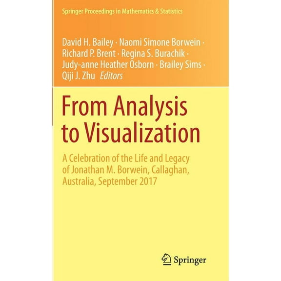 Springer Proceedings in Mathematics & St From Analysis to Visualization: A Celebration of the Life and Legacy of Jonathan M. Borwein, Callaghan, Australia, Septe, Book 313, (Hardcover)