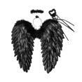 thumbnail image 2 of Alas de ángel con plumas y halo, disfraz de Halloween, alas decorativas Negro 45cmx45cm, 2 of 9