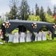 thumbnail image 4 of Yeshouse Carpa plegable de 3 x 6 m con ventanas de polietileno, bolsa con ruedas, paredes laterales extraíbles, refugio impermeable para fiestas, jardines, eventos y bodas, 4 of 10