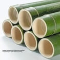 thumbnail image 4 of Luggage Holder, Strong Load Bearing Wooden Luggage Rack Double Layers  for Slippers, 4 of 7