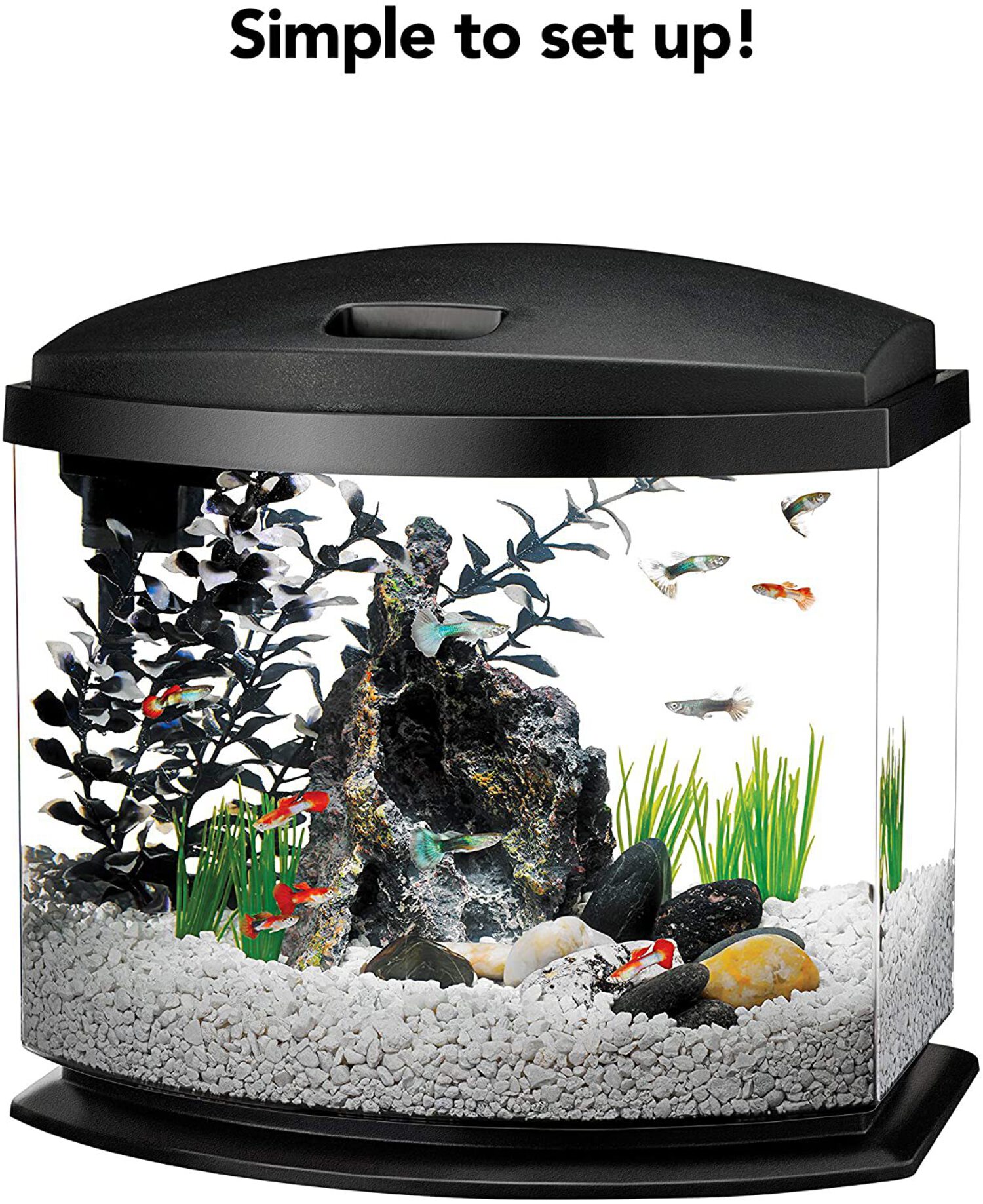aqueon black 5 gallon led minibow smartclean kit